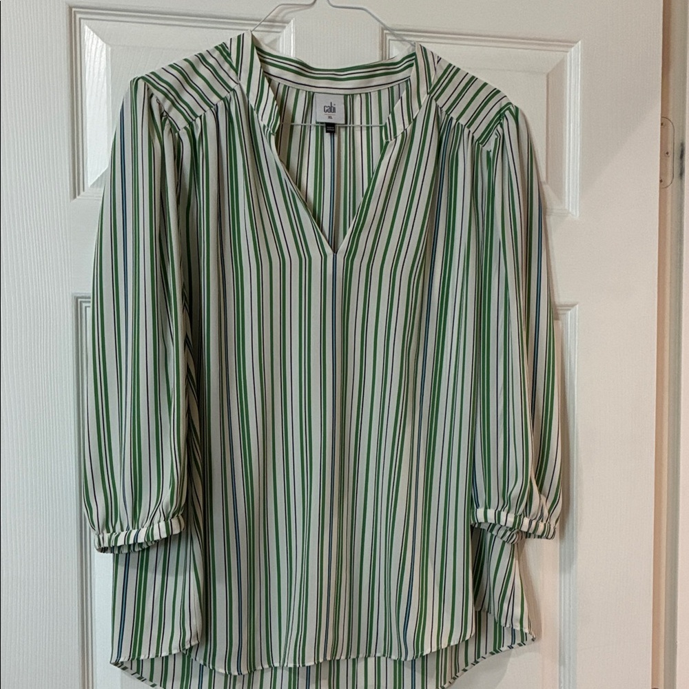 CAbi Green and White Striped Blouse